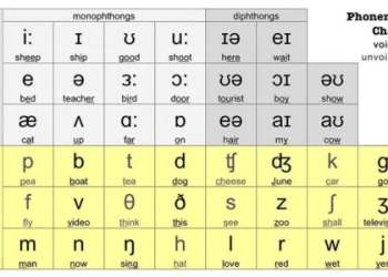 Mất gốc ư? Khóa học tiếng Anh giao tiếp này dành cho bạn.