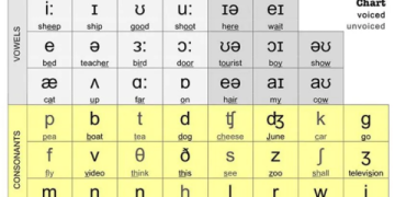 Mất gốc ư? Khóa học tiếng Anh giao tiếp này dành cho bạn.