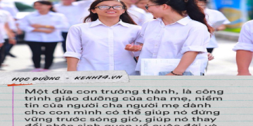 Bố mẹ ơi, học sinh cấp 1 tiếng Anh là gì và dùng từ nào cho dễ?