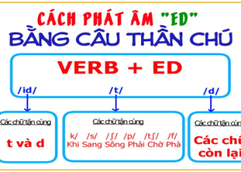 Mẹo học tiếng anh cơ bản cho người mới bắt đầu: Đơn giản mà hiệu quả.