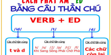 Mẹo học tiếng anh cơ bản cho người mới bắt đầu: Đơn giản mà hiệu quả.
