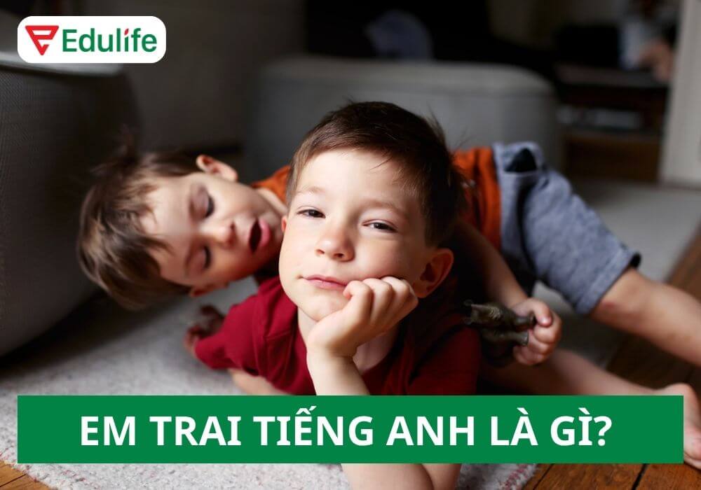 Em trai tiếng Anh là gì? Giải đáp nhanh gọn, dễ hiểu cho bạn đây nè.
