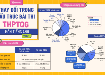Em trai tiếng Anh là gì? Giải đáp nhanh gọn, dễ hiểu cho bạn đây nè.