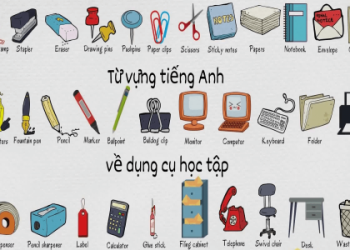 1 ngày nên học bao nhiêu từ tiếng Anh để không bị mau quên?