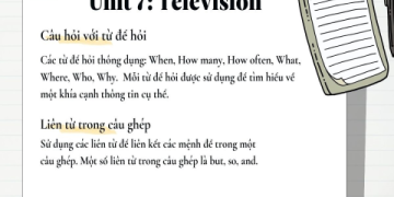 Ngữ pháp Tiếng Anh 7 không còn khó, tổng hợp dễ hiểu nhất quả đất.