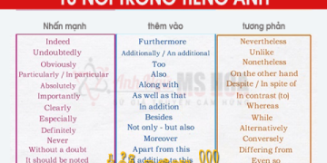 Tổng hợp từ mới tiếng anh lớp 8 unit 7 | Ghi nhớ nhanh, áp dụng liền tay.