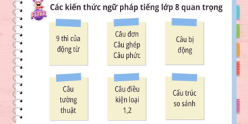 Bài học quan trọng unit 8 lớp 8, ôn thi phải xem kỹ nha.