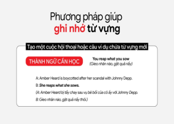 Từ vựng Tiếng Anh 7 quan trọng lắm nè, cách nhớ lâu không bao giờ quên luôn nha.