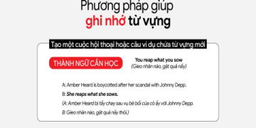 Từ vựng Tiếng Anh 7 quan trọng lắm nè, cách nhớ lâu không bao giờ quên luôn nha.