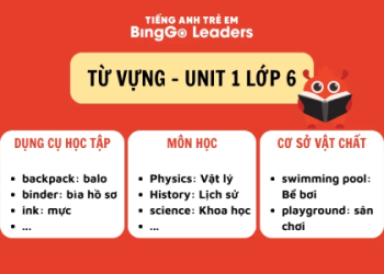 Tiếng anh lớp 6 unit 7: Giải bài tập đầy đủ và dễ hiểu nhất cho bé.