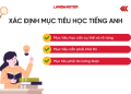 Học tiếng Anh mất gốc bao lâu để tự tin hơn? Lời khuyên từ chuyên gia cho bạn.