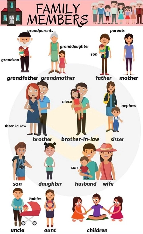 Chị em họ tiếng anh là gì bạn ơi, nói cho mình biết với?