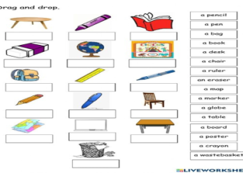 Bé học tiếng Anh lớp 1 | Từ vựng siêu dễ.