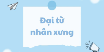 Giải đáp thắc mắc them tiếng Anh là gì? Cùng học về đại từ này nhé.