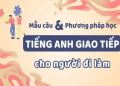 5. Phương pháp học tiếng Anh trực tiếp với người nước ngoài hiệu quả cho người mới bắt đầu