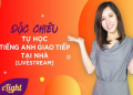 Đây lộ trình học tiếng Anh tại nhà cực đỉnh, giúp bạn nói tiếng Anh như gió.