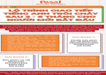 Làm sao để giỏi tiếng anh giao tiếp cho người đi làm online nhanh chóng mà không tốn tiền nhiều?