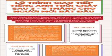 Làm sao để giỏi tiếng anh giao tiếp cho người đi làm online nhanh chóng mà không tốn tiền nhiều?