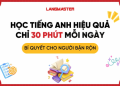 Dạy tiếng Anh cho người đi làm hiệu quả. Bí quyết học nhanh cho người bận rộn.