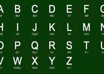 Mới Bắt Đầu Học Tiếng Anh Tại Nhà: Hướng Dẫn Từng Bước Đơn Giản Cho Bạn