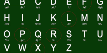 Mới Bắt Đầu Học Tiếng Anh Tại Nhà: Hướng Dẫn Từng Bước Đơn Giản Cho Bạn