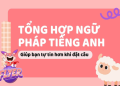Cần học ngữ pháp tiếng anh cho người mất gốc? Đây là lộ trình cho bạn.