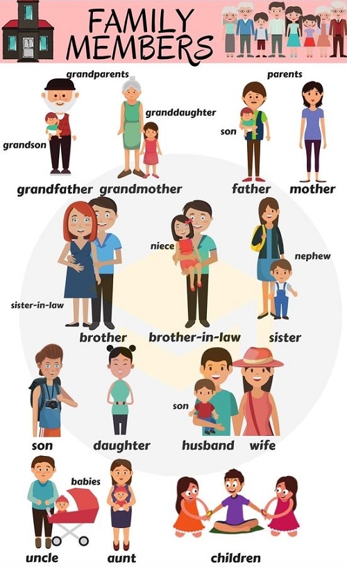 4. Bật mí: Từ vựng anh em họ tiếng Anh là gì? Phân biệt các loại