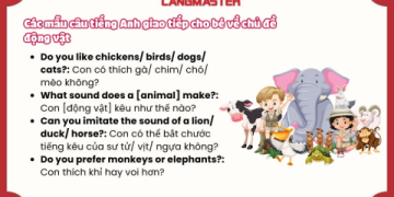 Khóa học tiếng anh giao tiếp với người nước ngoài: Thực hành thả ga, không lo sai.