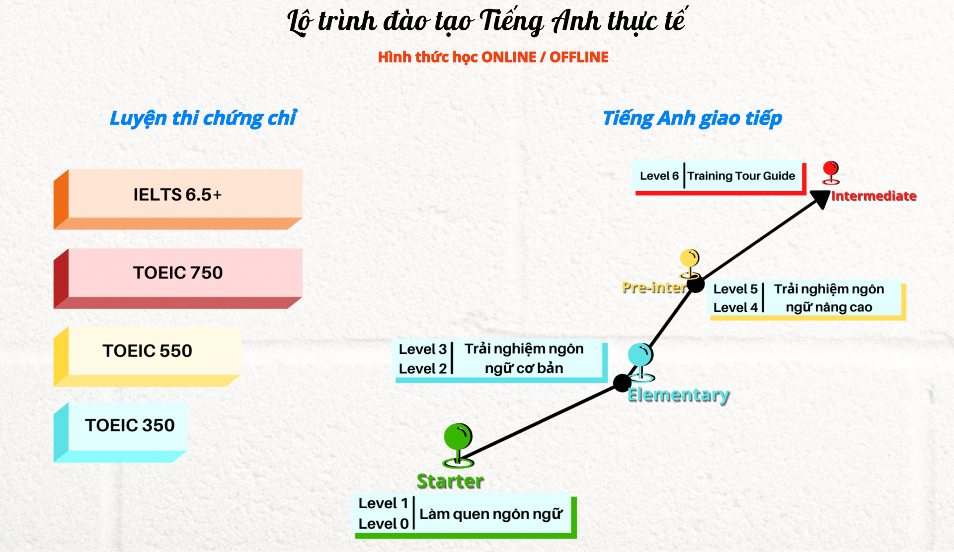 1. Học tiếng Anh cho người đi làm: Bí quyết và lộ trình hiệu quả