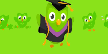 5. Web học từ vựng tiếng Anh miễn phí cho người mới bắt đầu, dễ học