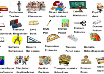 3. Dạy tiếng Anh cho người mới bắt đầu: Tự học hiệu quả tại nhà