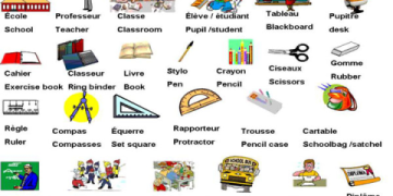 3. Dạy tiếng Anh cho người mới bắt đầu: Tự học hiệu quả tại nhà