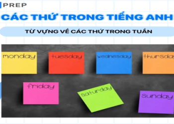 Tổng hợp các thứ trong tiếng anh: Từ Thứ Hai đến Chủ Nhật nói thế nào cho đúng?