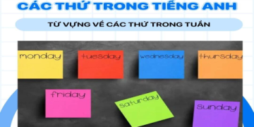 Tổng hợp các thứ trong tiếng anh: Từ Thứ Hai đến Chủ Nhật nói thế nào cho đúng?