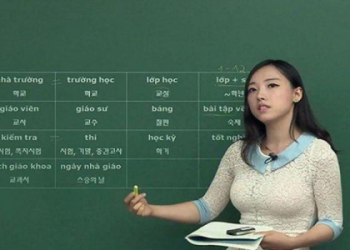 Bắt Đầu Học Tiếng Anh Online Cho Người Mới Như Thế Nào Đúng Cách