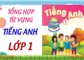 Tiếng anh lớp 1 cho bé làm quen, học từ vựng đơn giản mỗi ngày.