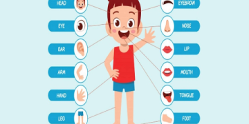 Khám phá phương pháp học tiếng Anh qua truyện cổ tích cực kỳ thú vị và dễ nhớ.