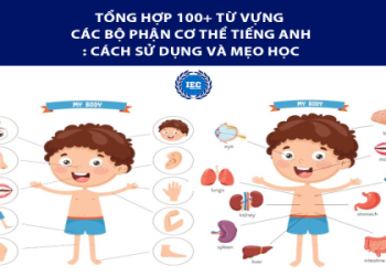 Mở rộng vốn từ hiệu quả: Khám phá các từ vựng tiếng anh thông dụng trong đời sống.
