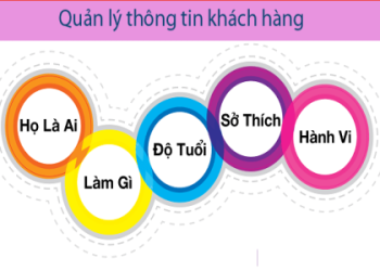 Học ở trung tâm ngoại ngữ Không Gian: Chất lượng có thật sự tốt như lời đồn?