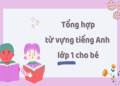 4. Tổng hợp những từ vựng tiếng anh cơ bản thông dụng nhất hiện nay