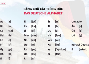 Lộ trình học tiếng Anh cho người mới bắt đầu đơn giản: Bạn cần học gì trước tiên?