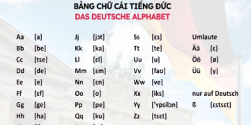 Lộ trình học tiếng Anh cho người mới bắt đầu đơn giản: Bạn cần học gì trước tiên?