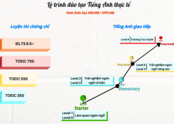 Đừng lo lắng chọn sai, xem ngay review chi tiết các trung tâm tiếng anh giao tiếp tại hà nội tốt nhất hiện nay.