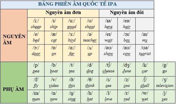 Tại sao người lớn học tiếng Anh giao tiếp cần chú trọng phát âm