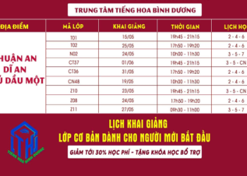 Trung tâm tiếng anh cho người mới bắt đầu: Học ở đâu nhanh tiến bộ nhất?