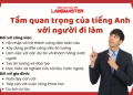 Học Tiếng Anh Giao Tiếp Mỗi Ngày: Giải Pháp Tối Ưu Cho Người Đi Làm Bận Rộn