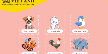 Giúp Bé Thích Học Tiếng Anh Mẫu Giáo Miễn Phí Mỗi Ngày Dễ Dàng Hơn